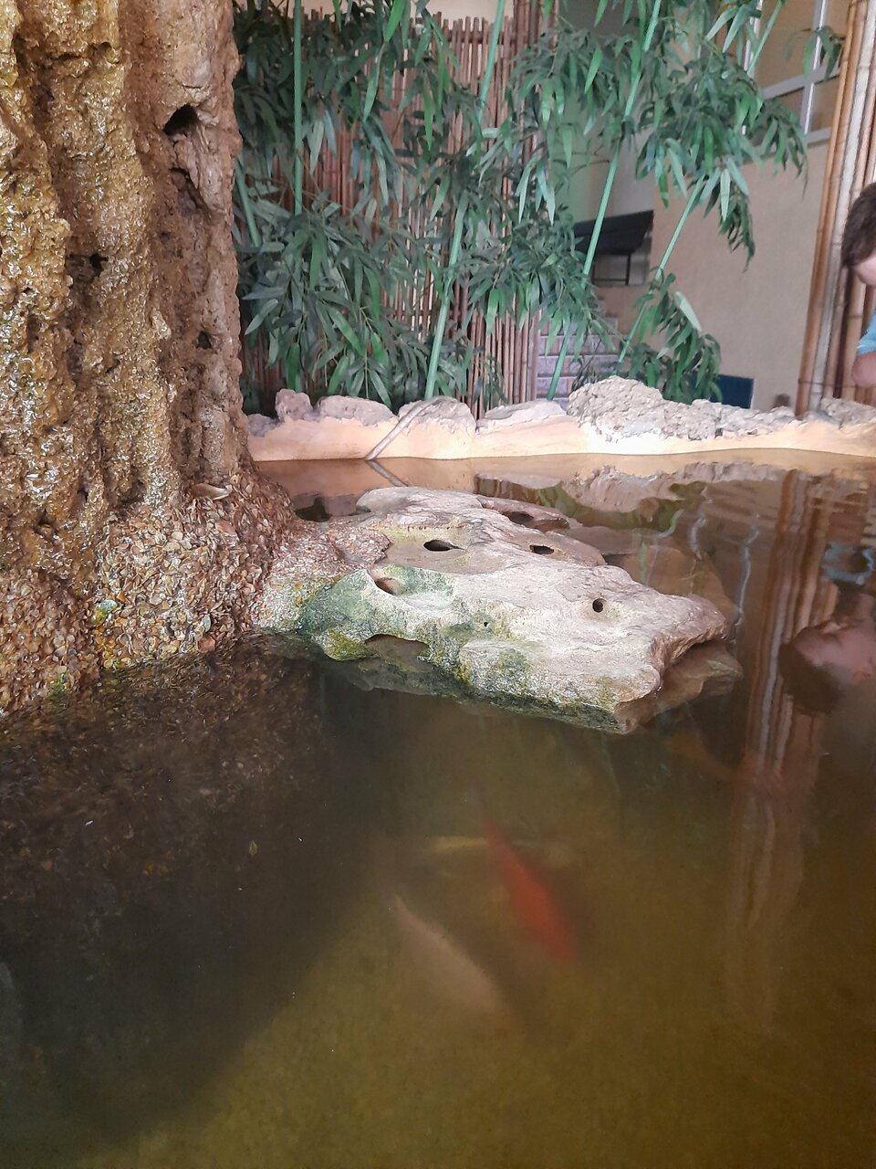 Гостиница Экватор Анапа-34