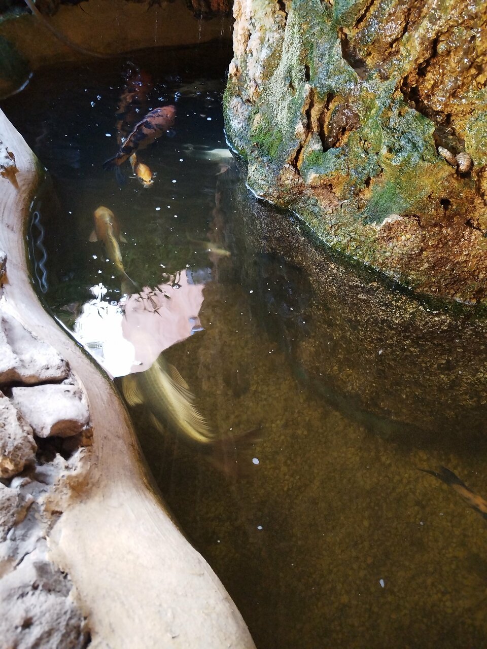 Гостиница Экватор Анапа