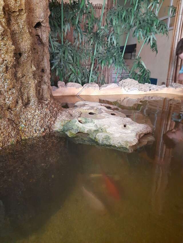 Гостиница Экватор Анапа-33