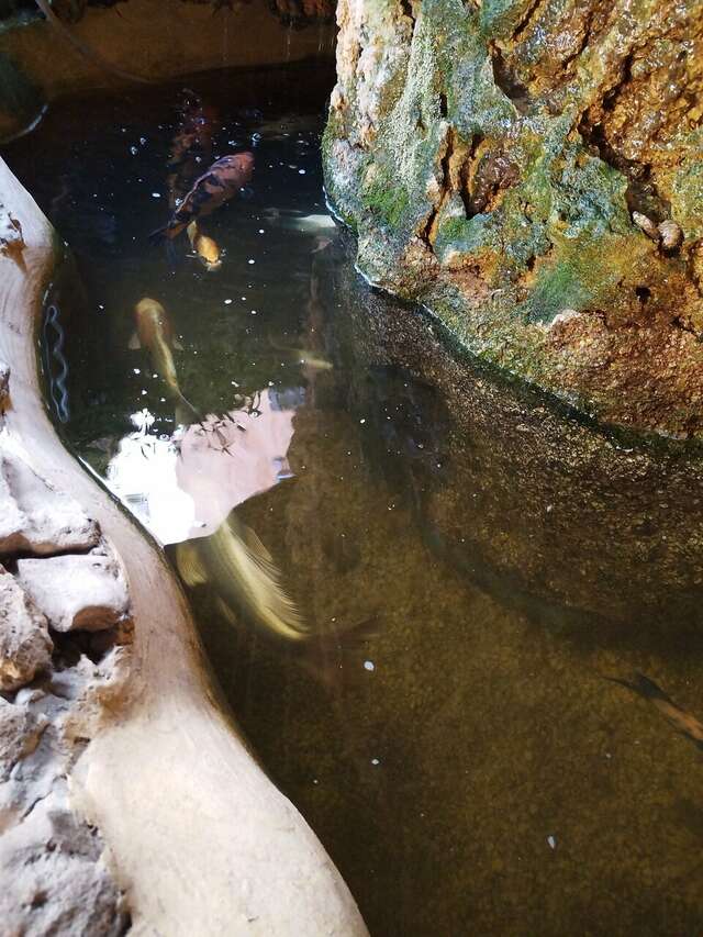 Гостиница Экватор Анапа-49